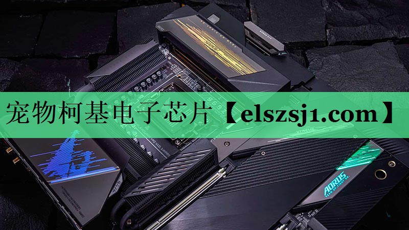 宠物柯基电子芯片 宠物柯基电子芯片