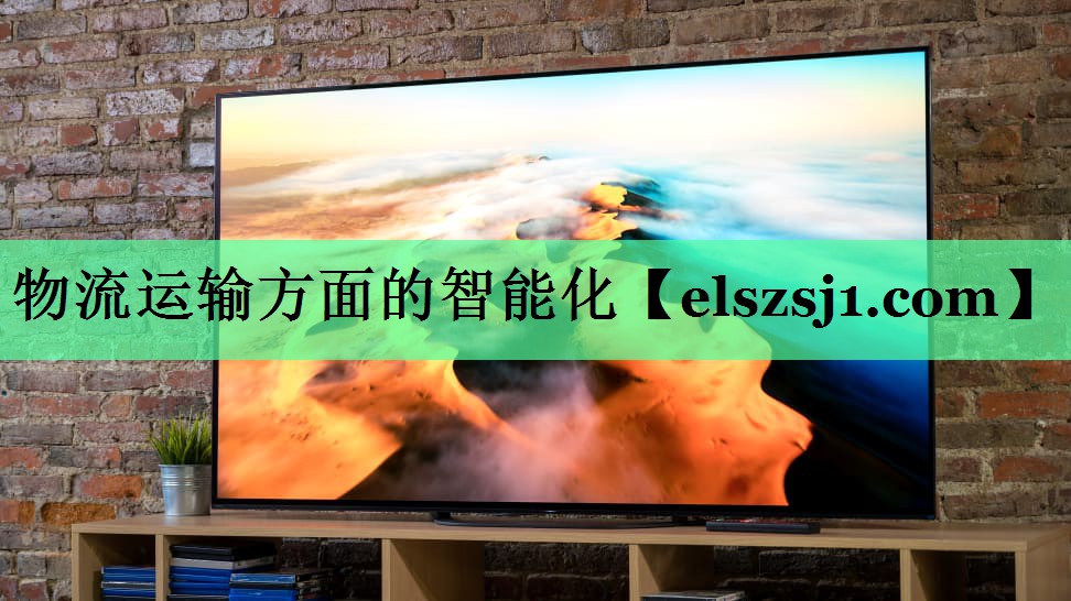 物流运输方面的智能化 物流运输方面的智能化