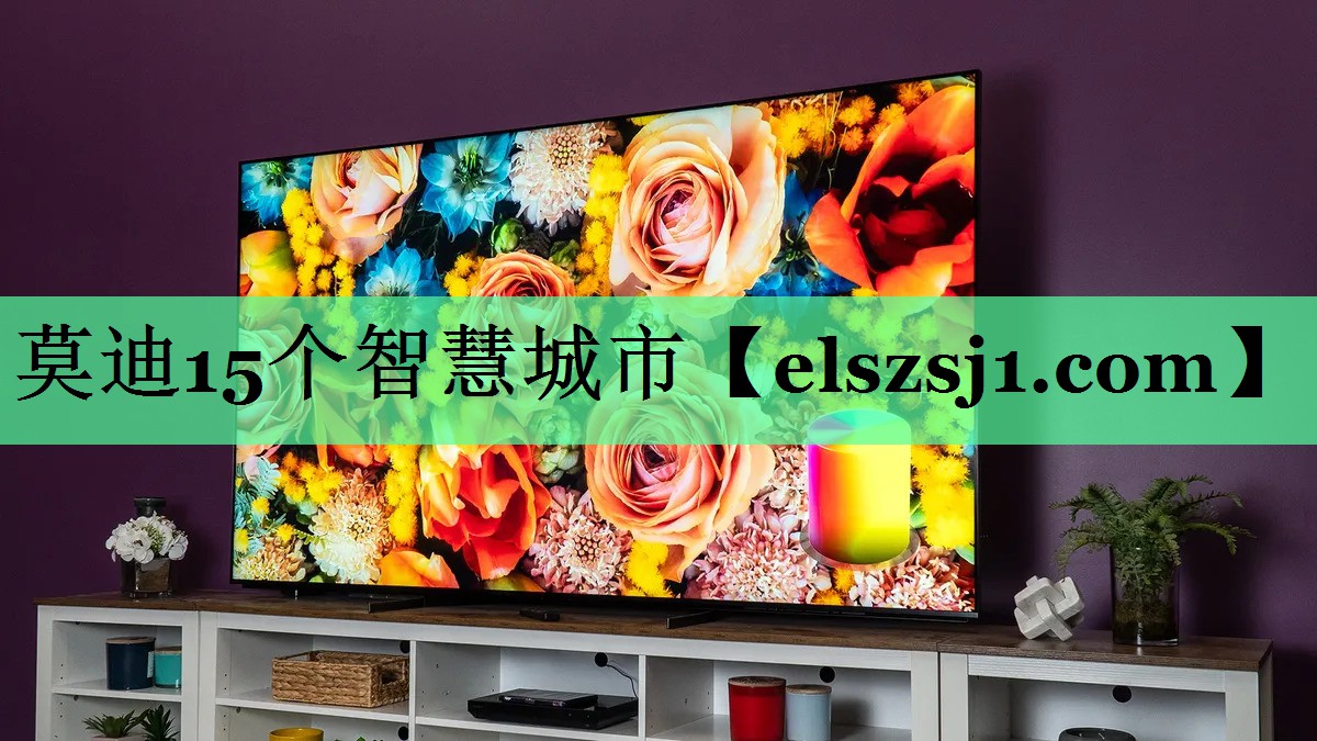 莫迪15个智慧城市 莫迪15个智慧城市