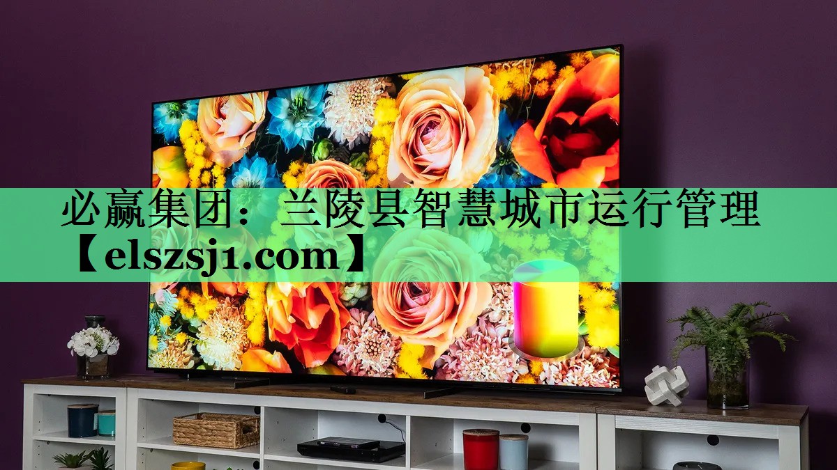 兰陵县智慧城市运行管理 兰陵县智慧城市运行管理